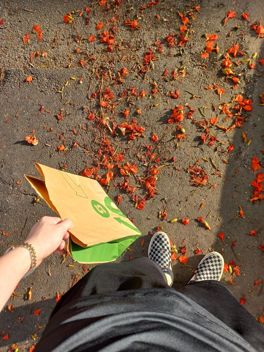 maacular satânico tweet media