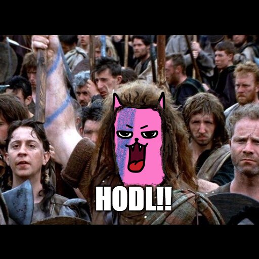 Buy Meow
Hodl Meow
Be ready!