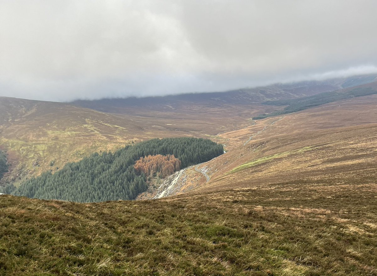 mcclean_siobhan's tweet image. Stunning views up Scarr today,
but very squelchy underfoot