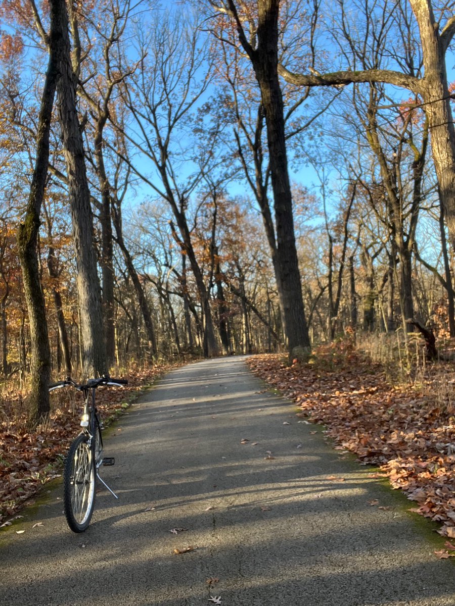 Take a bike ride in nature while the sky is blue.