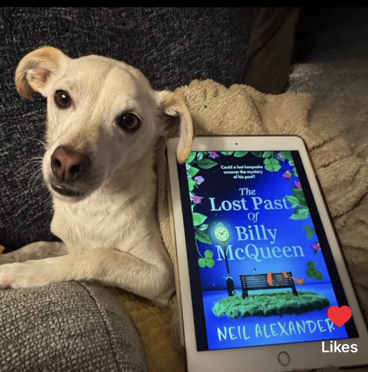 neilalexander_'s tweet photo. ‘Poignant, heartfelt and compelling’ Thank you to @pudseyrecommends over on Instagram for this gorgeous review of ‘The Lost Past of Billy McQueen’ 🌈☘️ #AmazonFirstReads https://t.co/s5nVGvkaIx