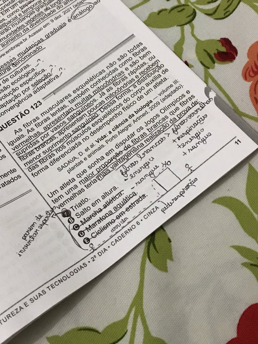 evysgrant's tweet photo. tipo assim q porra de esporte é esse https://t.co/oOKFynHwQJ