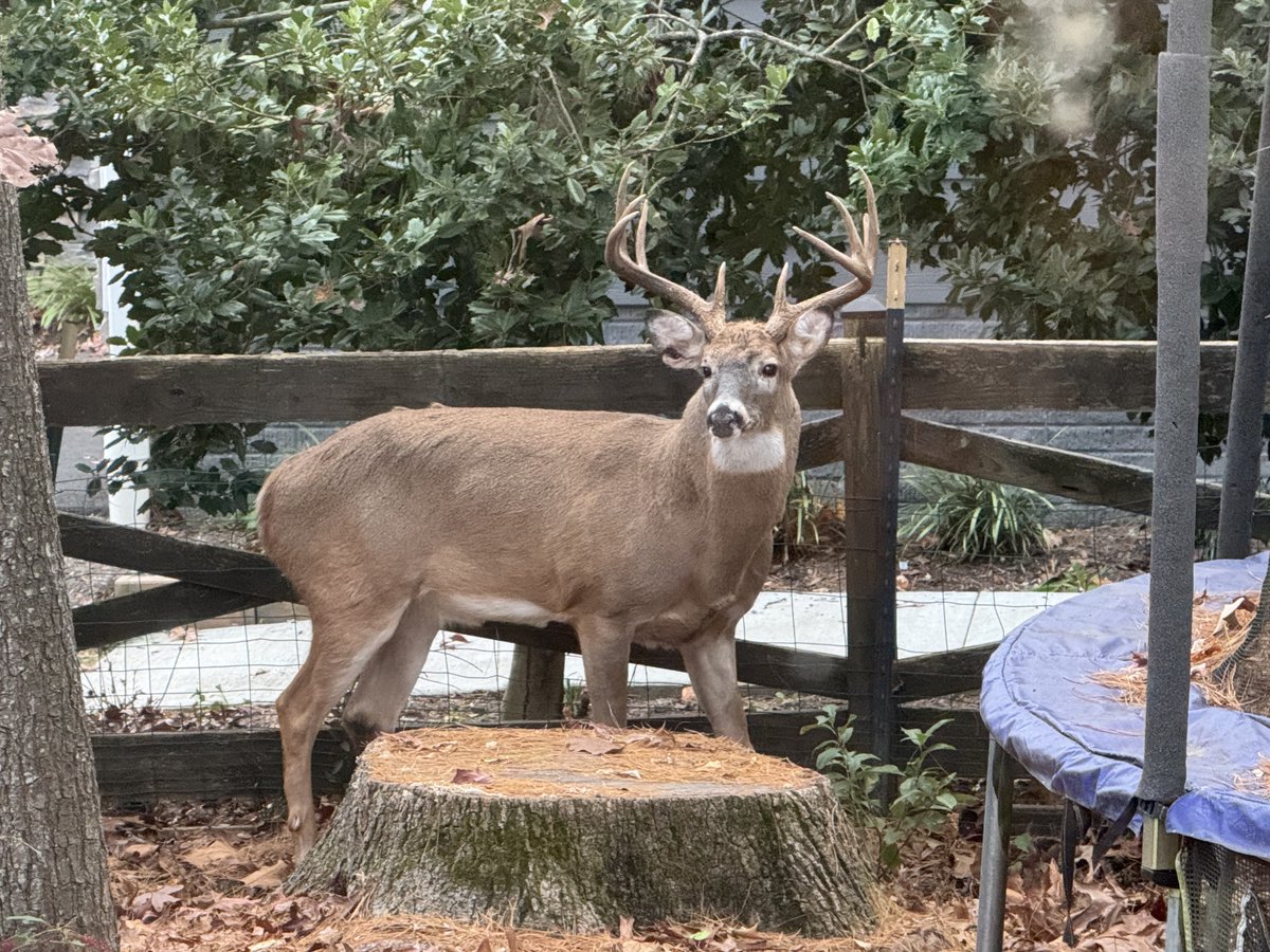 ☠️Daddy Bones☠️ tweet media