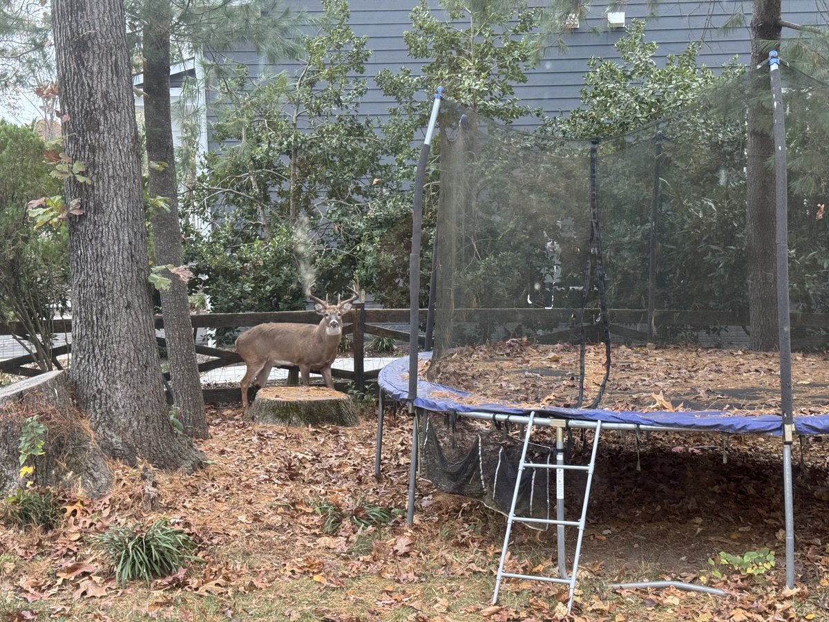 ☠️Daddy Bones☠️ tweet media