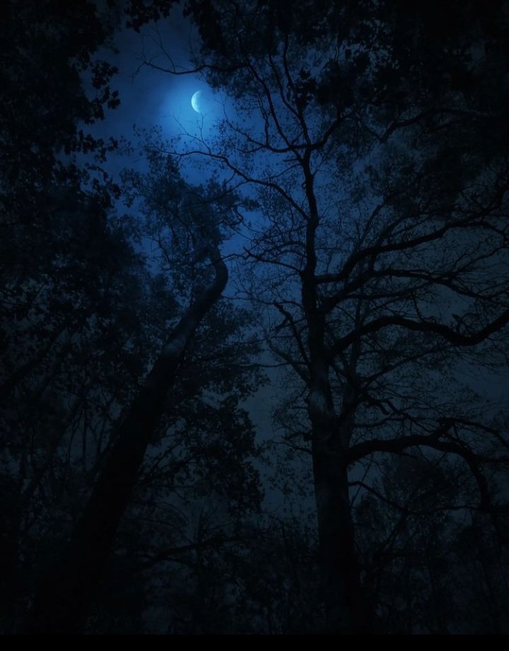 elemmiressoul's tweet photo. moonlight-blue. https://t.co/Yx0ac2hVuL