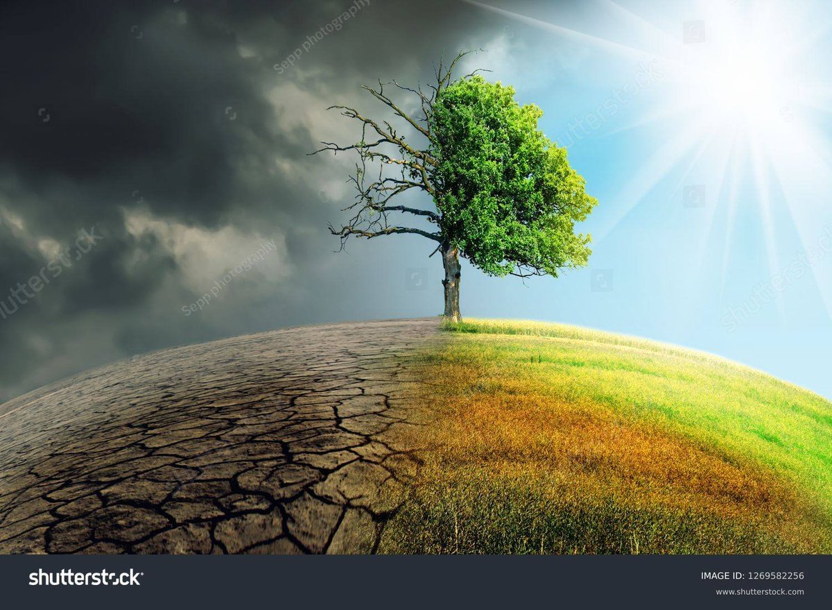 MarkCTaylor5's tweet photo. @SenThomTillis @TedBuddNC @JeffJacksonNC @RepAdams @MarkHarrisNC8 Thank you Charlotte @theobserver for printing my letter regarding climate change and the crucial role gov plays to facilitate NC's health, wealth and disaster prevention.  https://t.co/Jpx5CQS6oQ @citizensclimate https://t.co/gFt0XiwCj8