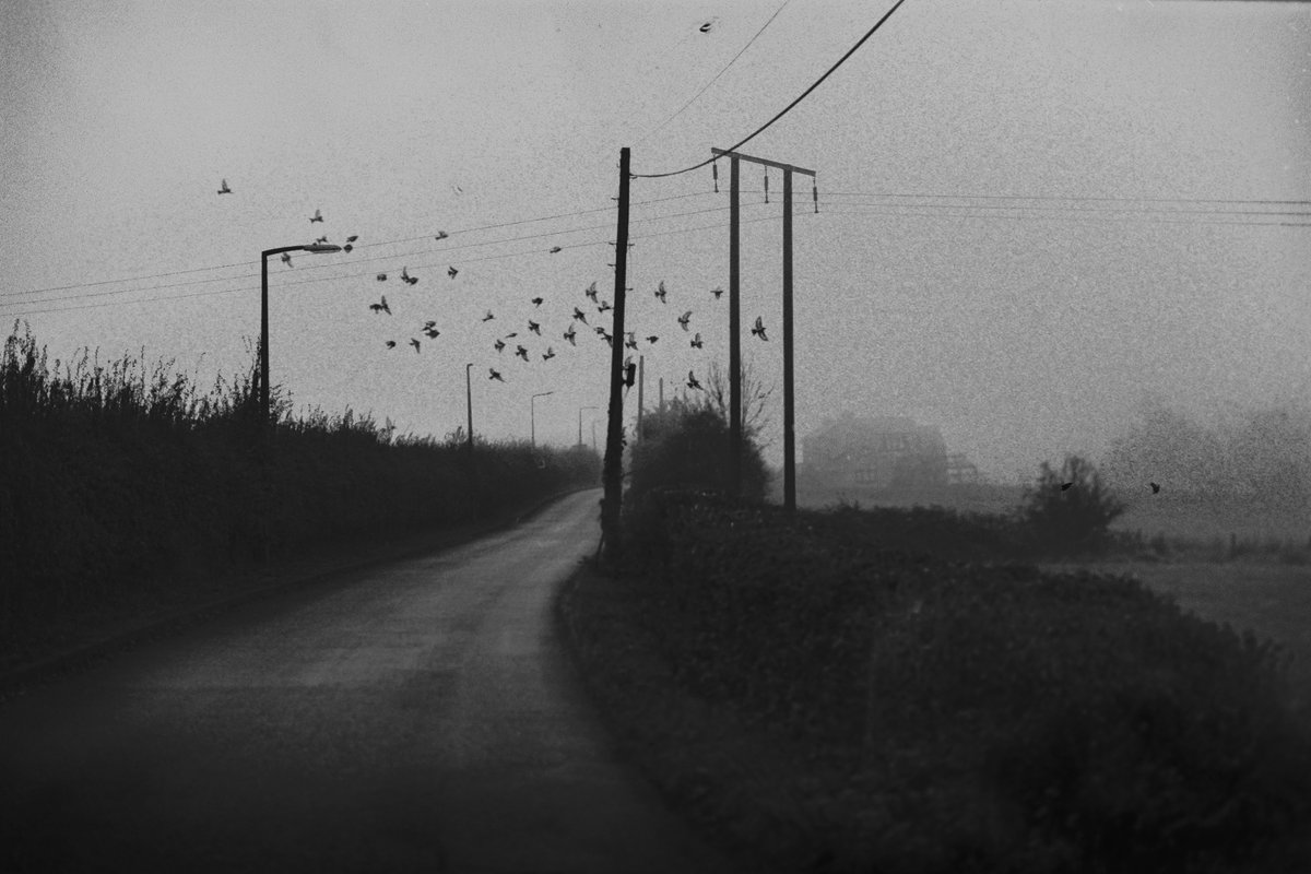 nomoth (@apevisions) on Twitter photo 