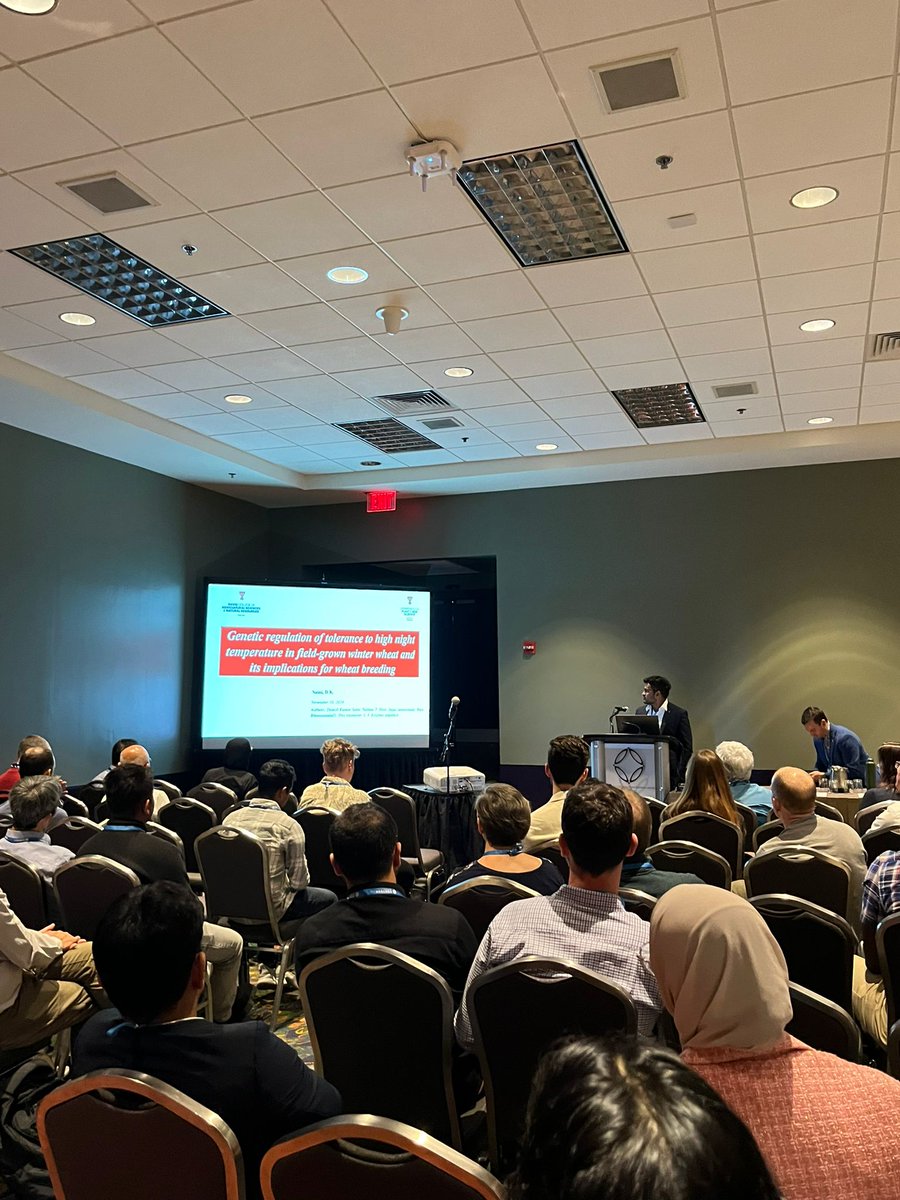 SainiDK10's tweet photo. Had a great time discussing our work on HNT stress tolerance in wheat at @ASA_CSSA_SSSA! Meeting🥳🙌🤞. Thank you to @KJagadish_TTU for all the support🥳🙏, and to the audience for their thoughtful questions and encouraging feedback🤩🙏! #CropForageSystemsLab @ISomayanda https://t.co/vSiwOQ7Wjz