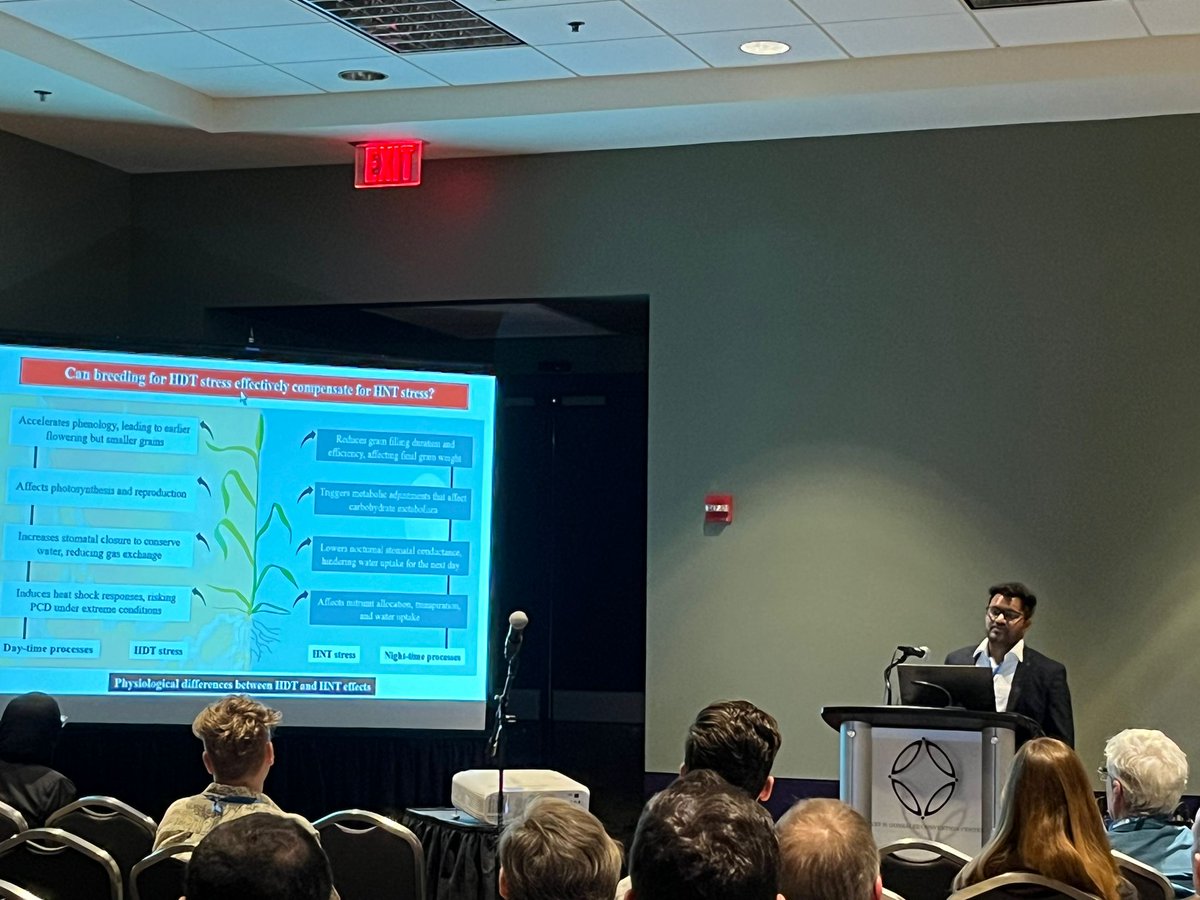 SainiDK10's tweet photo. Had a great time discussing our work on HNT stress tolerance in wheat at @ASA_CSSA_SSSA! Meeting🥳🙌🤞. Thank you to @KJagadish_TTU for all the support🥳🙏, and to the audience for their thoughtful questions and encouraging feedback🤩🙏! #CropForageSystemsLab @ISomayanda https://t.co/vSiwOQ7Wjz