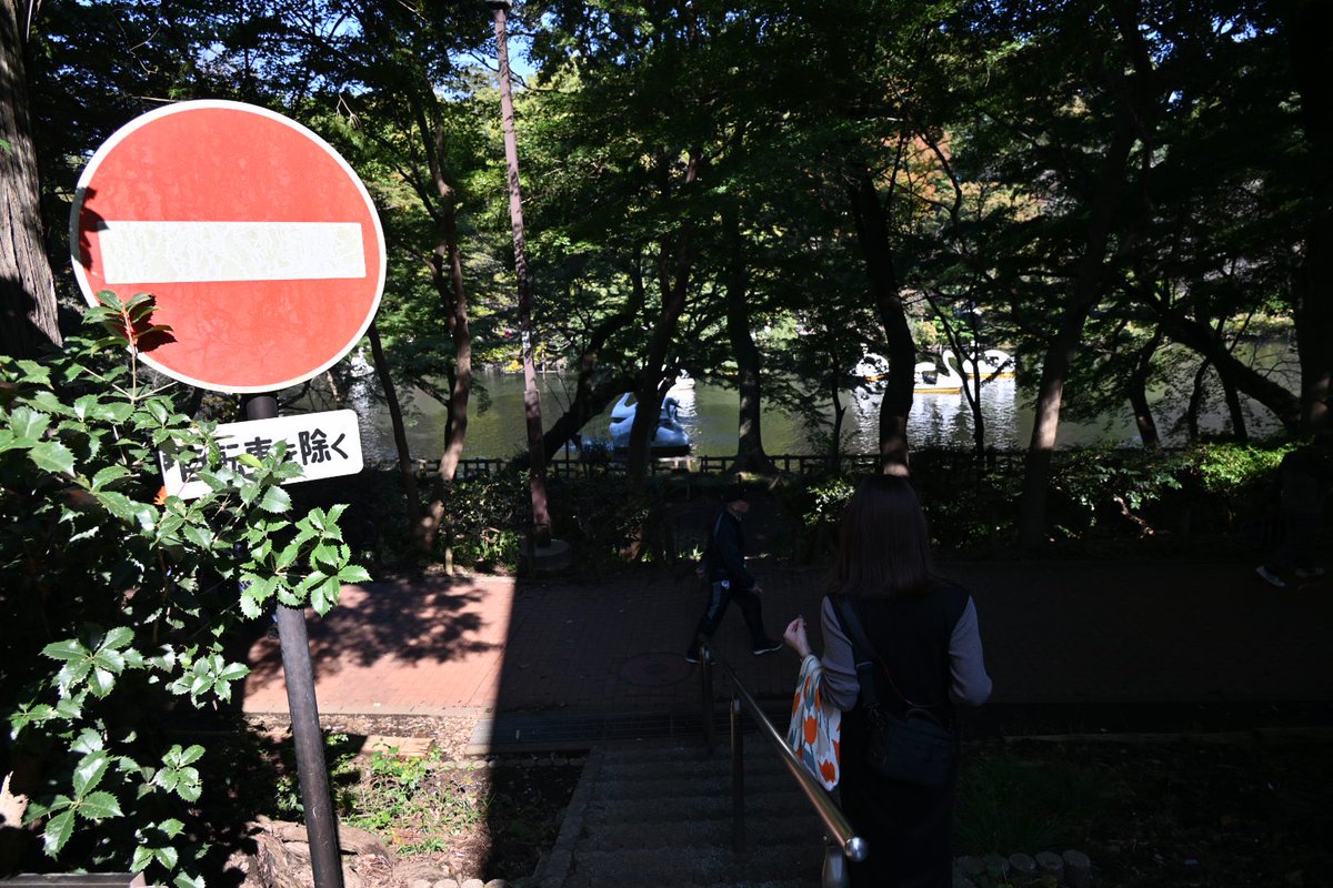 あやか． tweet media