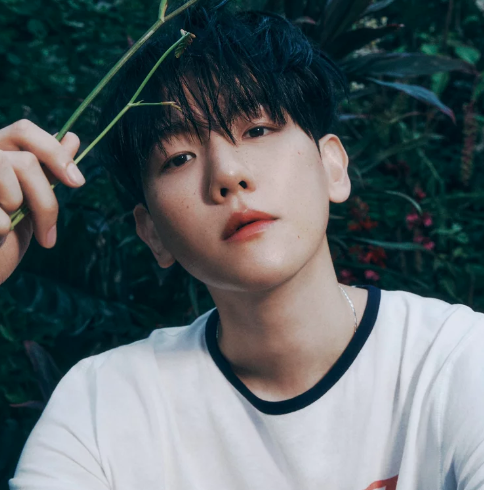 Baekhyun of EXO is the best selling kpop soloist of 2024 so far, with 1.2M sales.