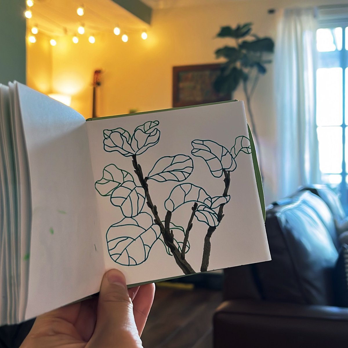 vivtsg's tweet photo. Having such a chill Sunday today… Here’s a doodle of my struggling fiddle leaf fig tree named Frankie

#doodle #art #plantart https://t.co/OYuixPtbP1