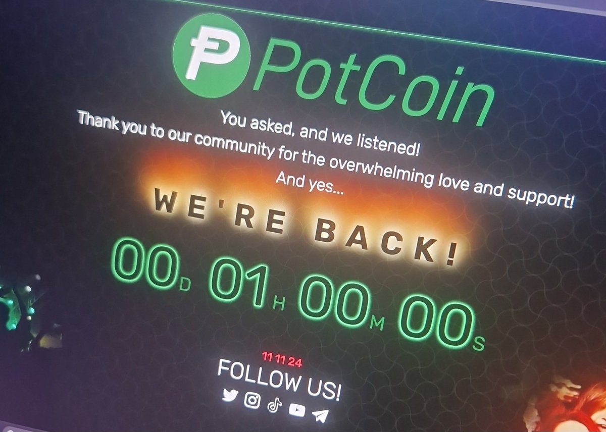 #LongTimeCrypto tweet media