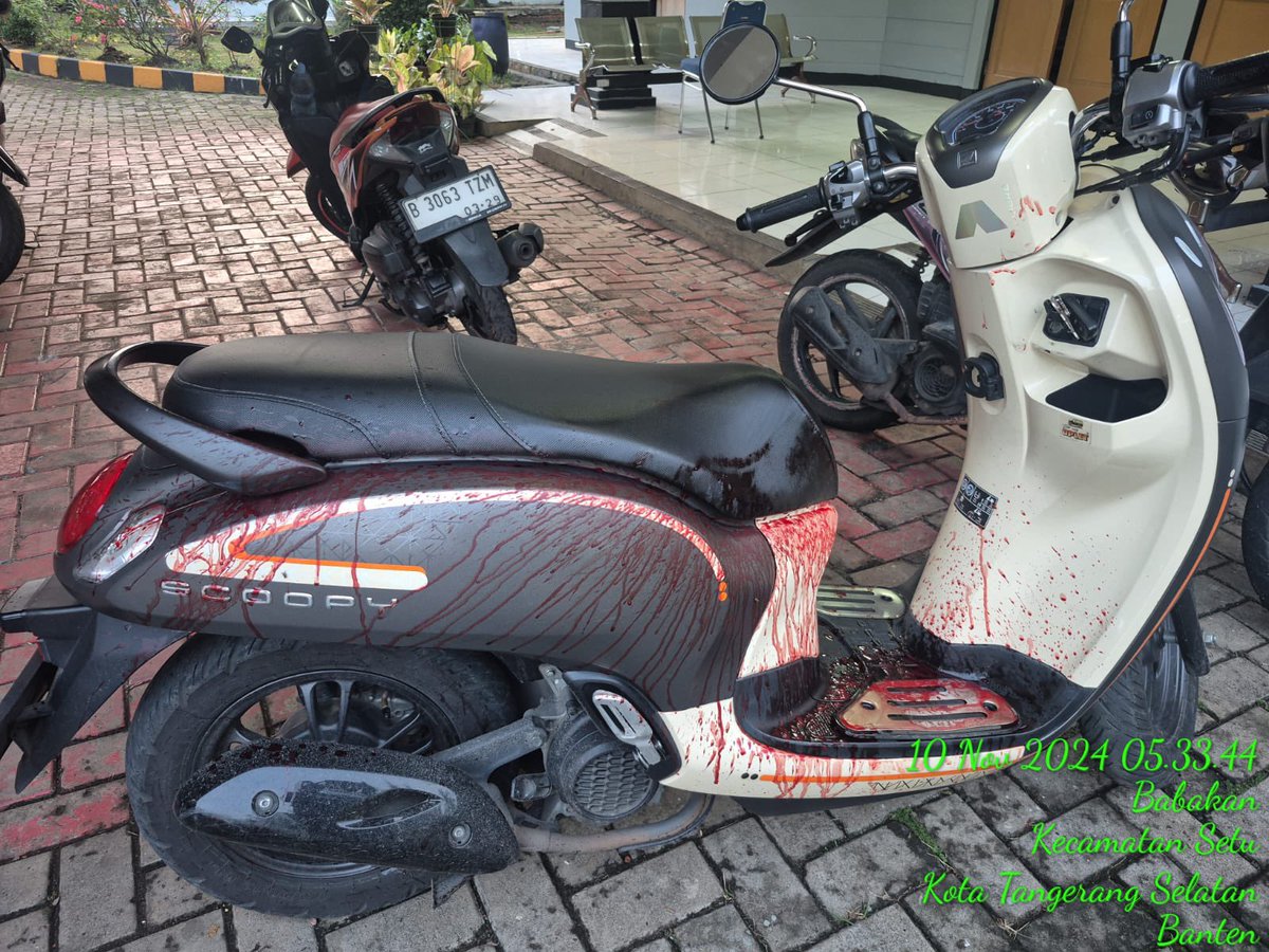 ‼️TW DARAH 

LIAT INI MOTOR YG BAPAK GUA PAKE, INI DARAH DIA SEMUA KRN DIBACOK SM BEGAL ANJING. untungnya bapak gua masih kuat buat bawa motor sampe ke kantor nya 😭😭 gua gabisa bayangin apa yg bapak gua rasain waktu itu ya Allah 😭😭ANJING LU BEGAL, BAJINGAN BIADAB