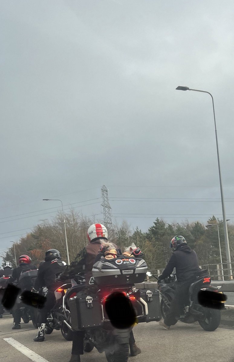lausto's tweet photo. Epitome of cool spotted touring the roads today. https://t.co/uwBdyrzEdG