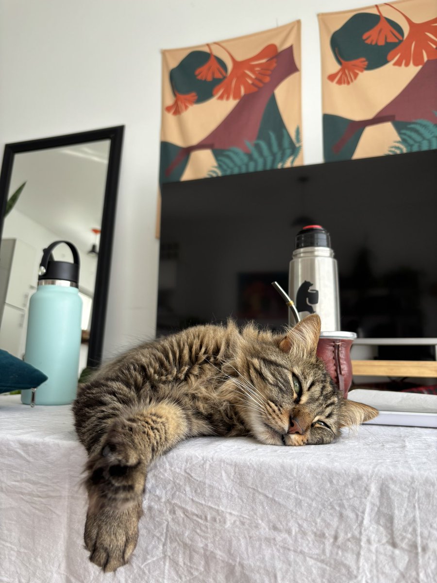 soffbr's tweet photo. 9 días fuera de casa y extraño demasiado a Tinto https://t.co/8DqzKIYrD4