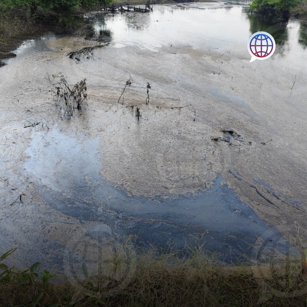 SintextoMX's tweet image. Vecinos de la comunidad Víctor Fernández Manero, en #Jalapa, #Tabasco, denuncian la #contaminación del río cercano, visiblemente sucio y aceitoso, temiendo que las fugas de #Petróleos Mexicanos estén afectando la zona. #sintexto #noticias