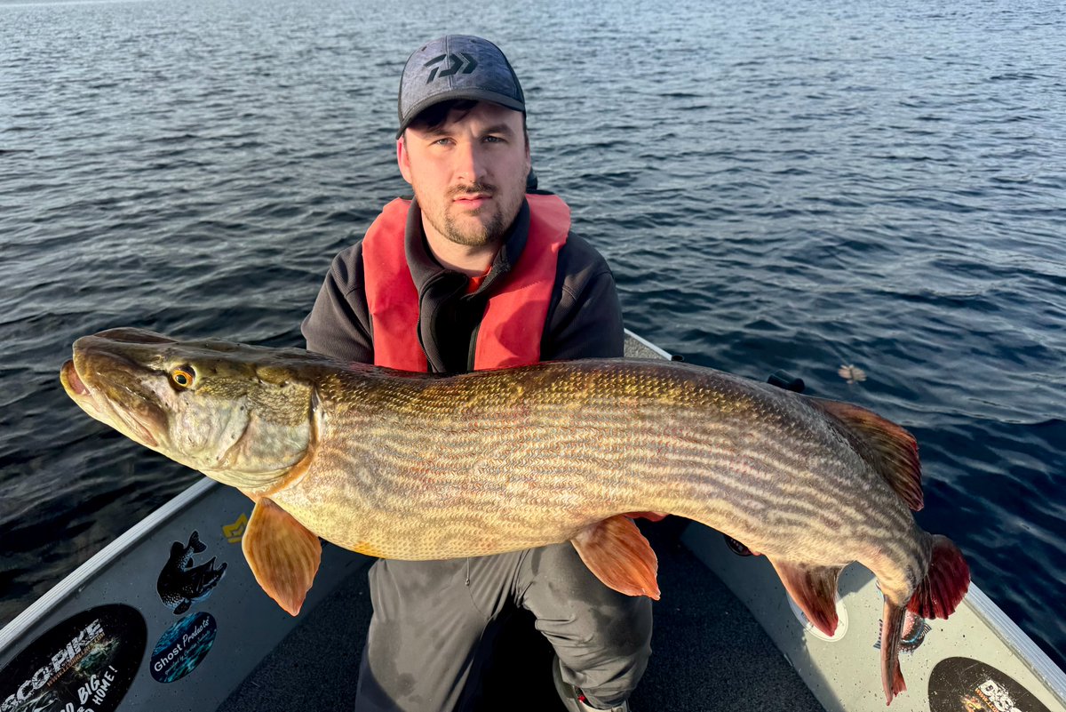 VinnyGUFC's tweet photo. Fishing has been quite good over the last few weeks ;- )

#fishing #pike #pikefishing #irishfishing #lurefishing #outdoors #northernpike https://t.co/InV1LQ5ZUq