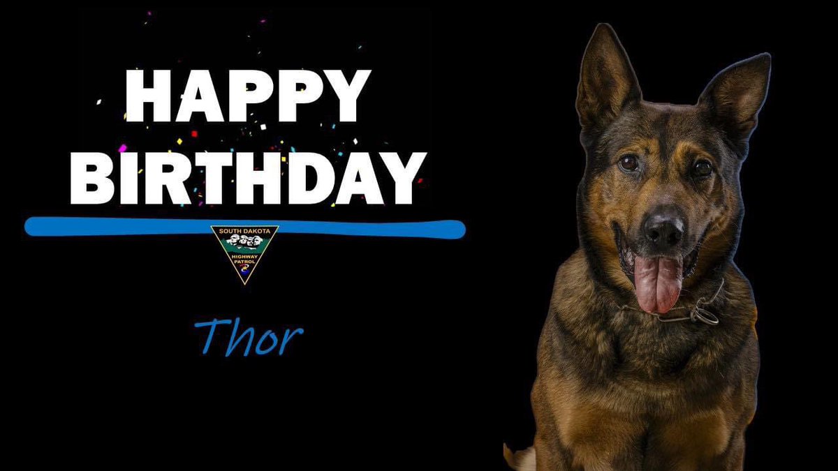 SDHighwayPatrol's tweet photo. Happy 9th Birthday Thor!!!
Happy Birthday to you… 🎶 🎵
🐾 🐾 🐾
#KeepSDSafe
#sdhppsdunit https://t.co/E9YFIuQrpe