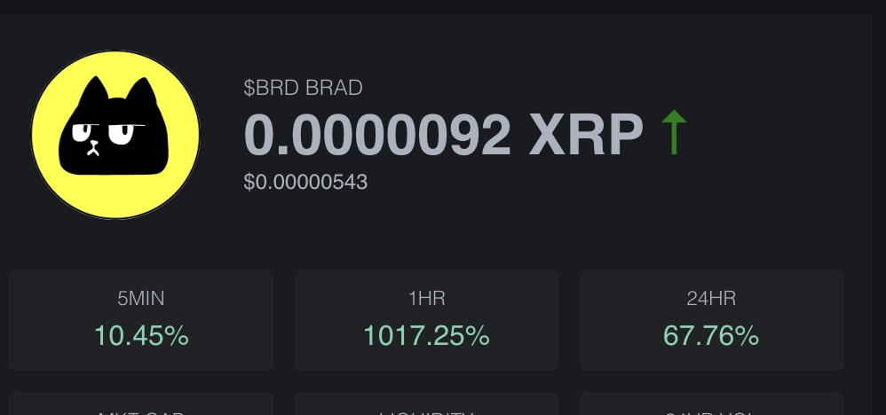 Brad tweet media
