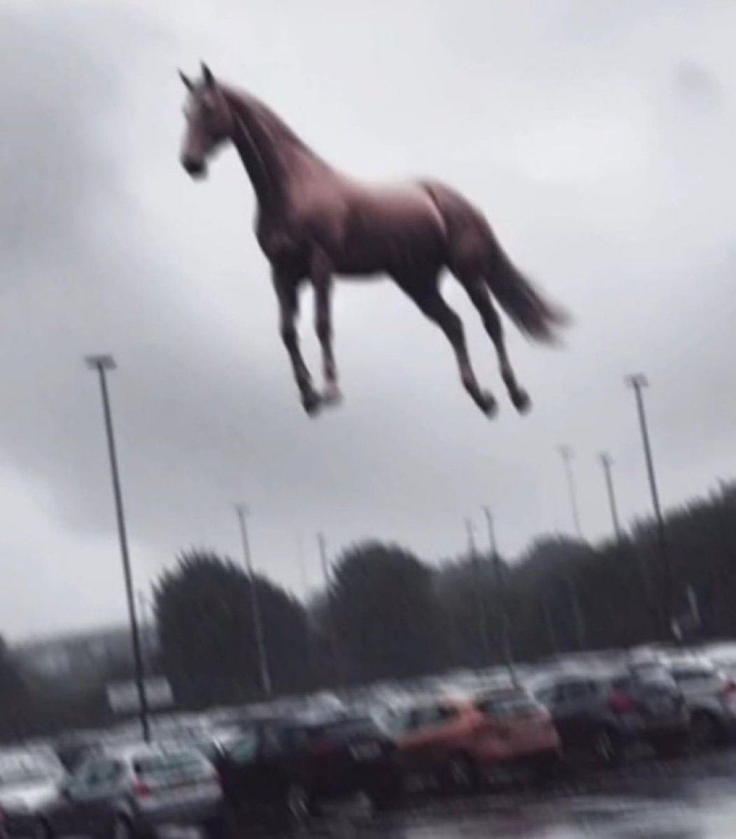 soup and sandwich combo