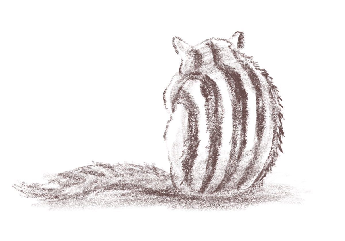 #1日1絵 過去の絵。#11月11日 

#今日は何の日 #シマリスの日
11/11が背中の5本の縞模様に見えることから
<a href="/bikke_the_chip/">シマリスのソフィー🐿Sophie,Bikke&Tod</a> さんが提唱、正式な記念日としても認定。シマリス万歳！

4枚目 <a href="/chipmunk_earth/">シマリス カフェ®︎🐿️アースのおみせ</a> さんのリス

#リス #シマリス  
#小動物 #イラスト #illustration #illustrator
