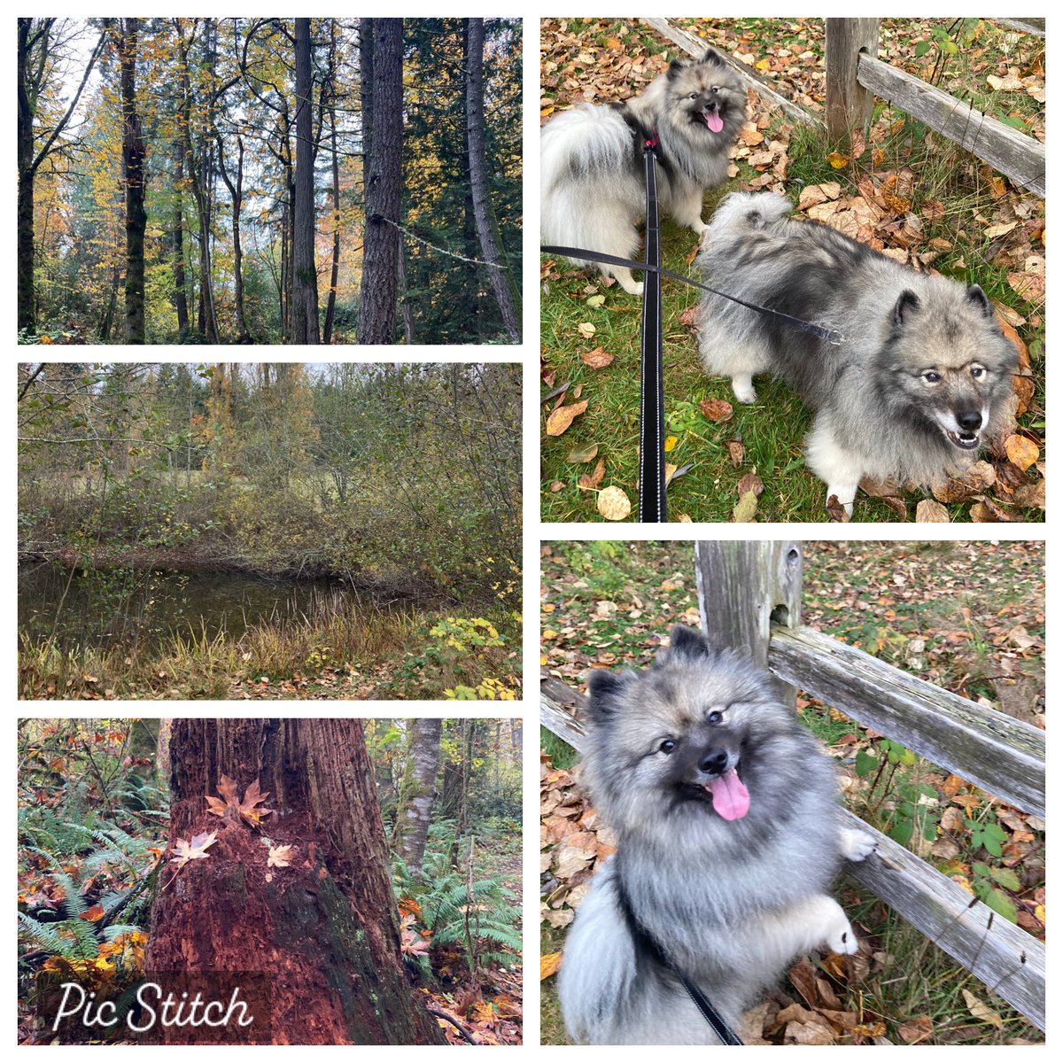 From our walk today…