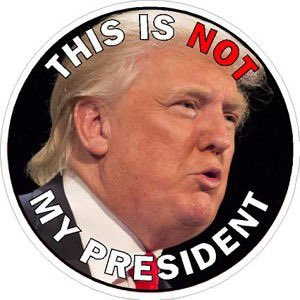 Is Trump your President? Yes or no?