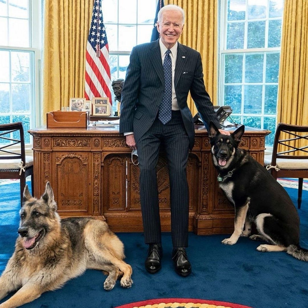 Demented grandpa will be visiting president Biden in the oval office on Wednesday.

Should the president have commander and major in the oval office on Wednesday?