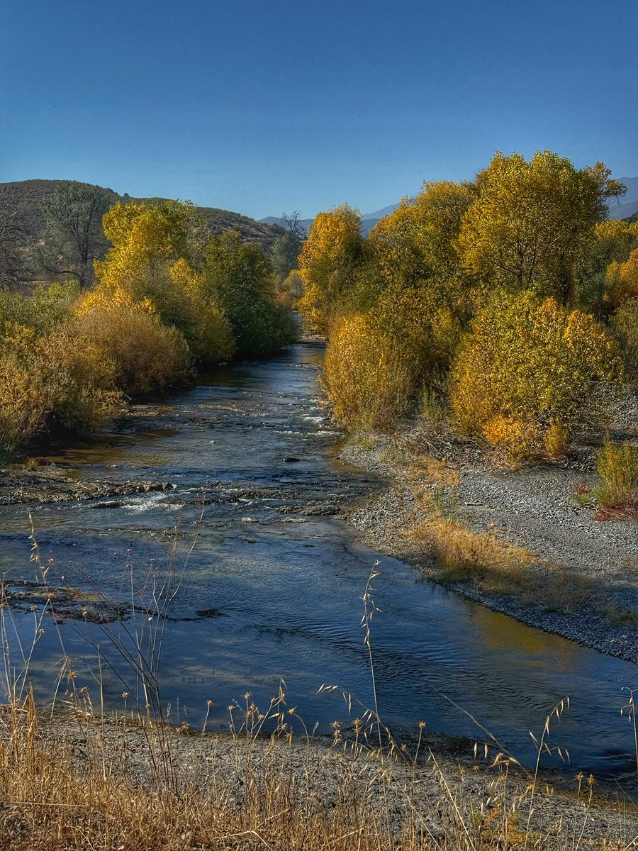 Post-election mental health ride.  If you come to Northern CA and like to cycle, this route is a must.  Gravel bike recommended.