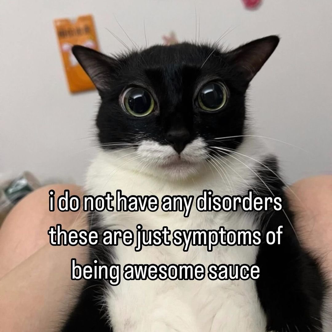 literallymecats's tweet photo. https://t.co/oCYqnDkMiK
