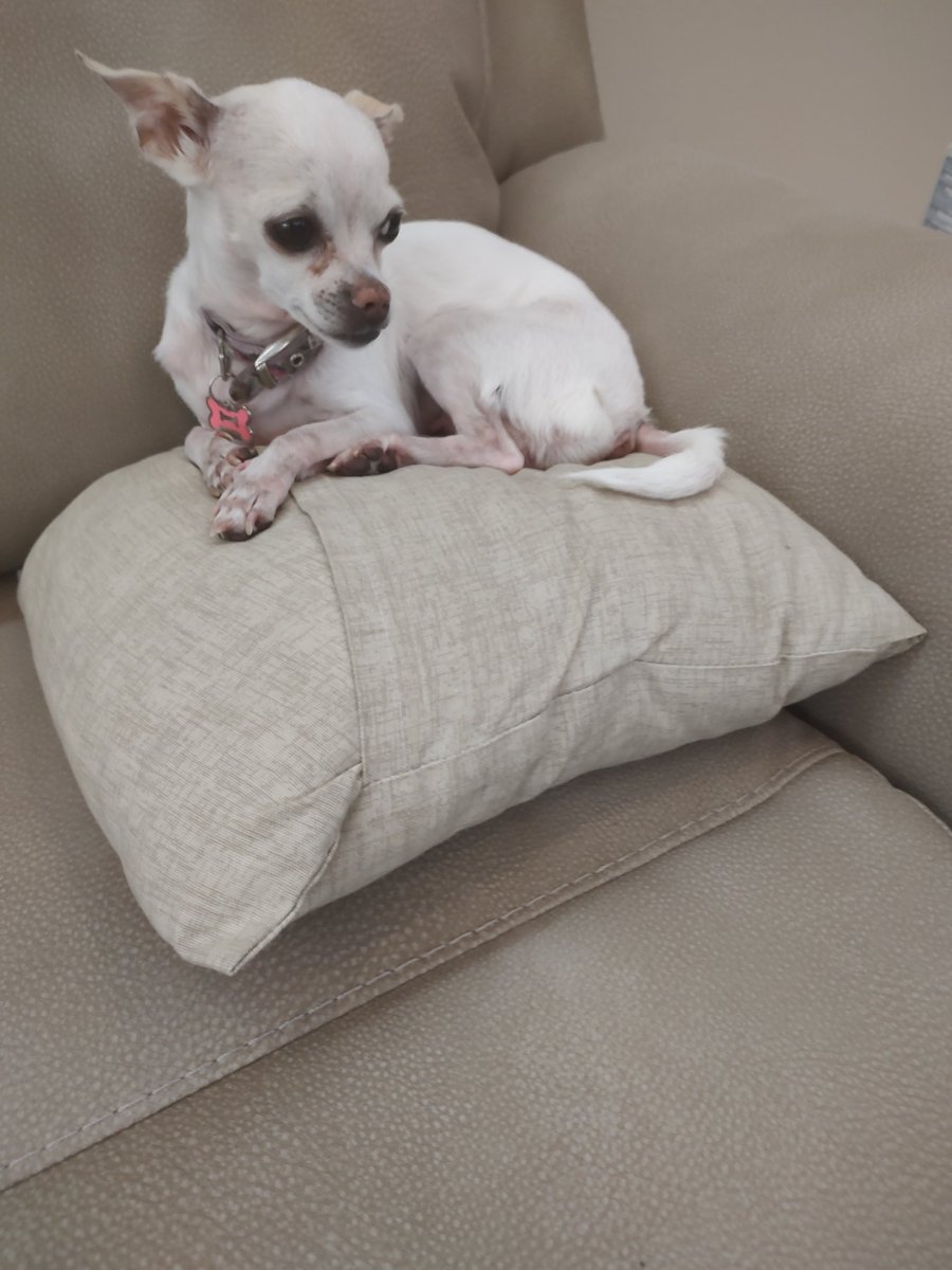 ACCOUNTABILITY IS UNITY 🌊🌊🌊🌊 tweet media