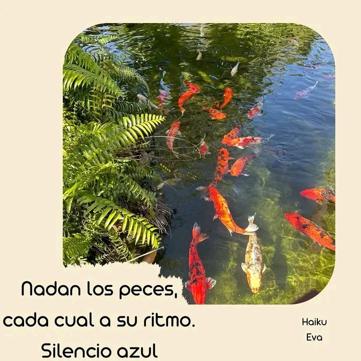 Haiku de Eva Gavilán