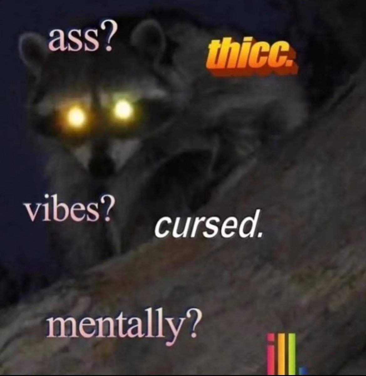 raccoon aesthetic. (@raccoonesthetic) on Twitter photo 