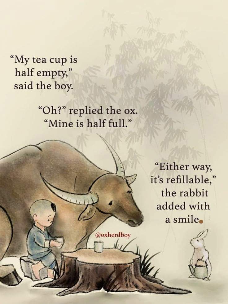 The Browne Dog (@darryn_browne) on Twitter photo 