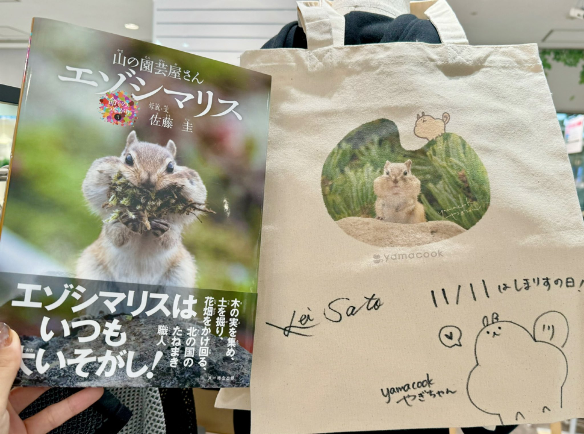 やぎちゃん様ご確認ページ やぎちゃん写真展 - Search / X