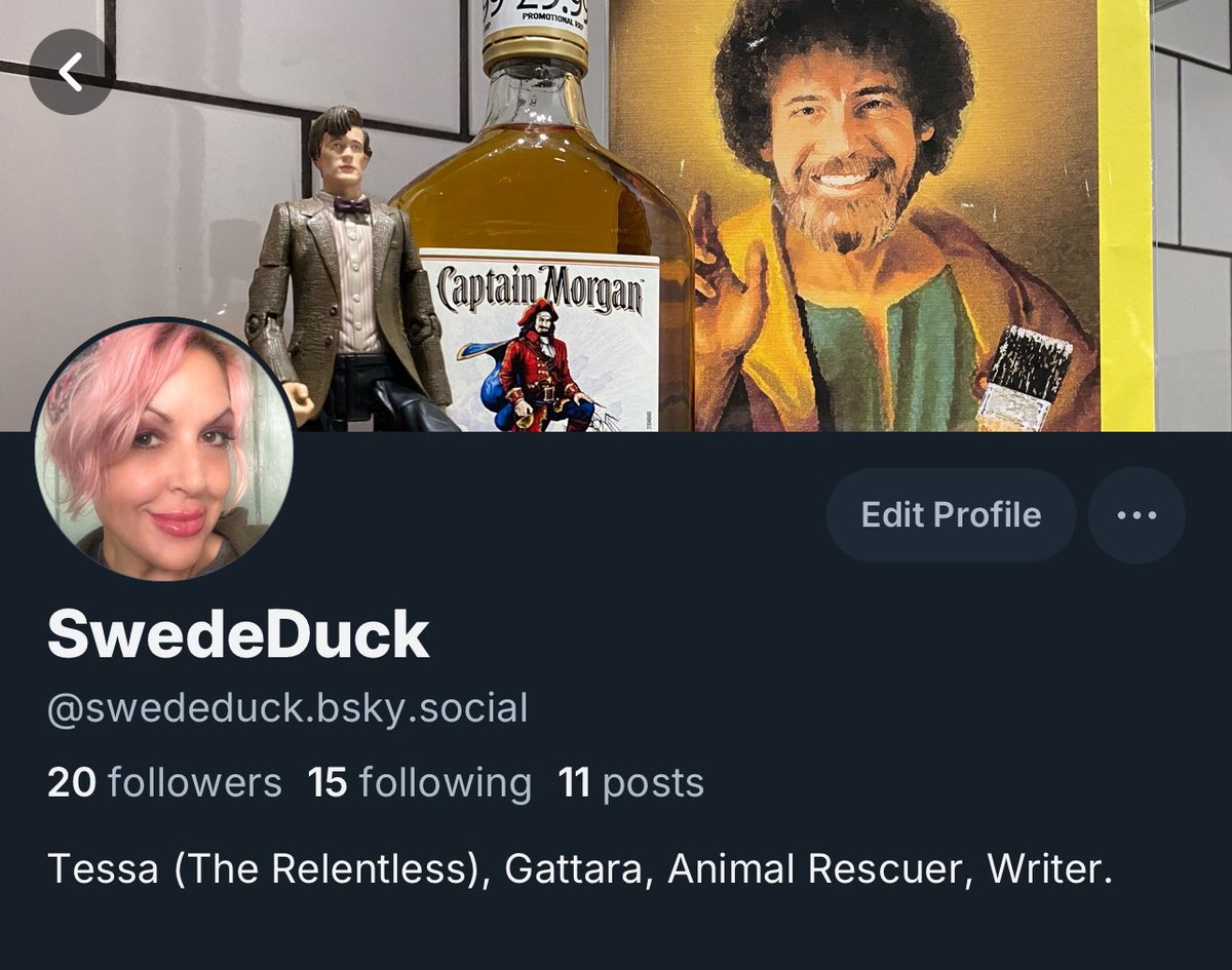 Swede Duck 🦦 tweet media