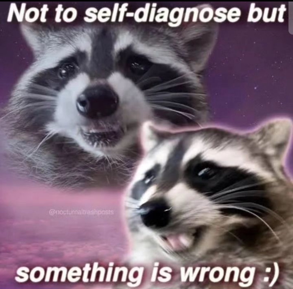 raccoonesthetic's tweet photo. https://t.co/rVHwjcKHza
