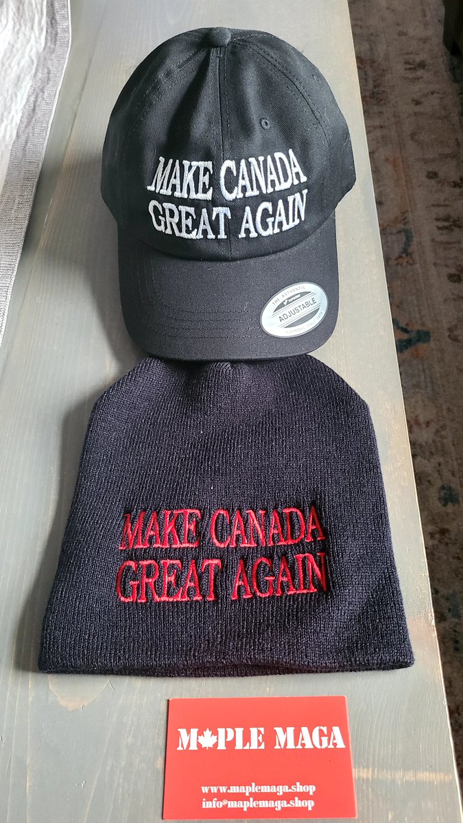therealmrbench's tweet photo. @PierrePoilievre Make Canada Great Again https://t.co/7e6Px2nGmZ
