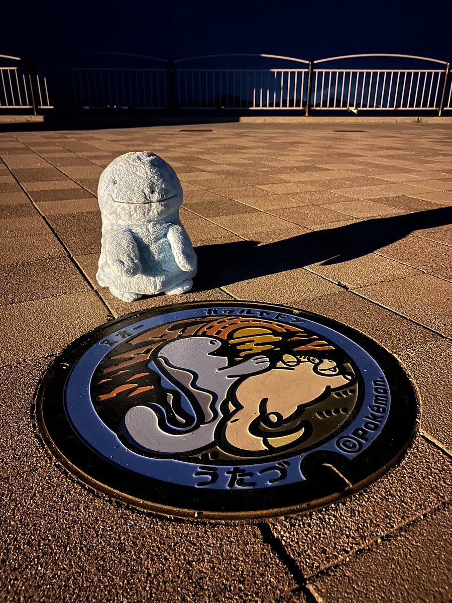 9月に高知県と香川県行ったばかりなのに🥹
ヌオー柄のミレー欲しすぎる!!