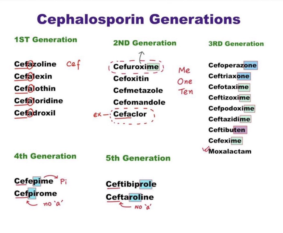 Th9_7's tweet image. Cephalosporin Generations