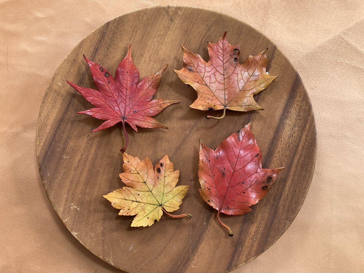 デザフェスリポスト祭り。
いいね、リポストありがとうございます！！
今もまだまだ作ってる最中ですが、完成した葉っぱ達です！
モミジ系とどんぐり系を意識して作りました！！