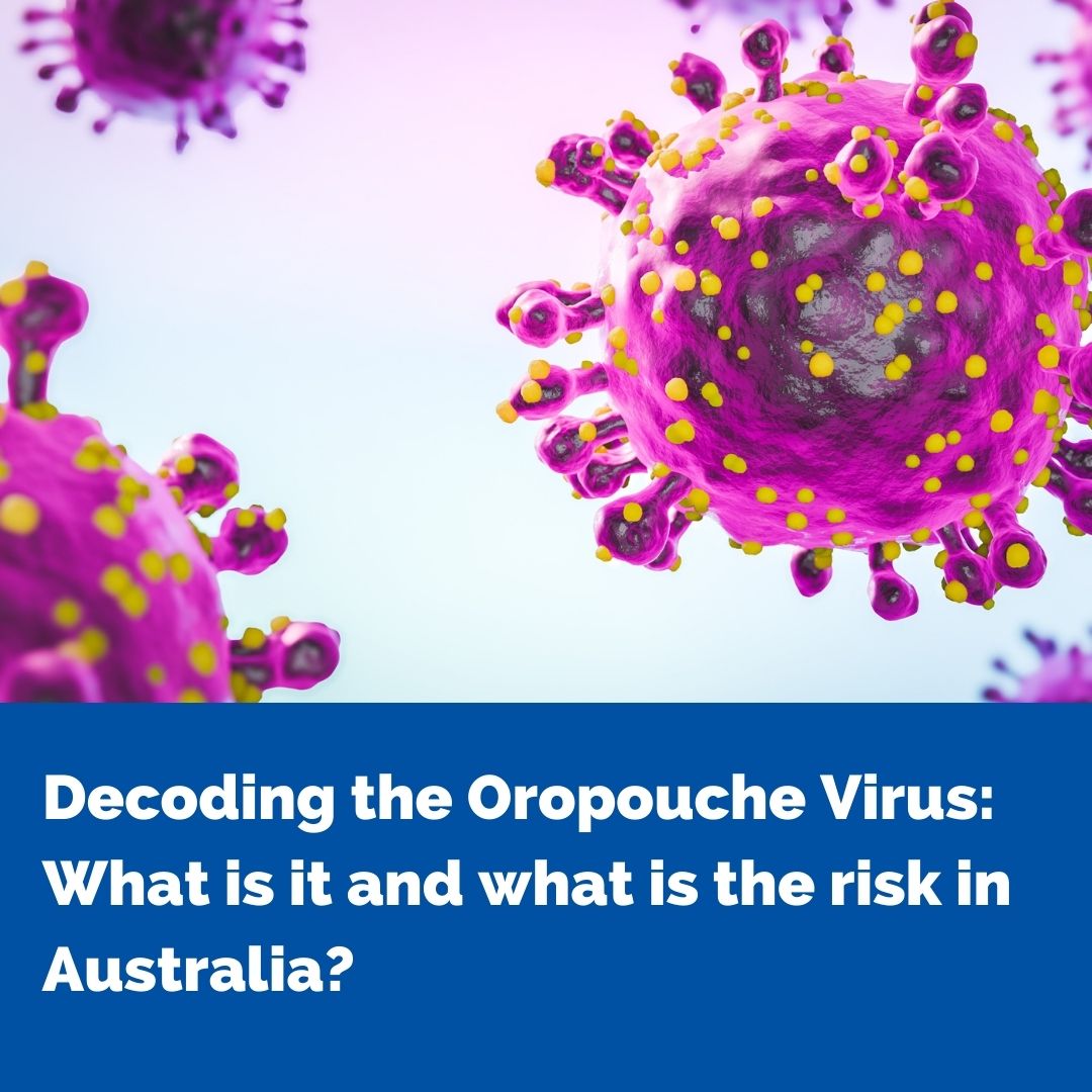 Have you heard about the Oropouche virus? Dr Chuan Lim Kok, a Medical Virologist and Acting Director of the Victorian Infectious Diseases Reference Laboratory (VIDRL) <a href="/TheDohertyInst/">Doherty Institute</a> explains the key facts go.unimelb.edu.au/q598 <a href="/UniMelbMDHS/">UniMelb MDHS</a> <a href="/TheRMH/">The Royal Melbourne Hospital</a>