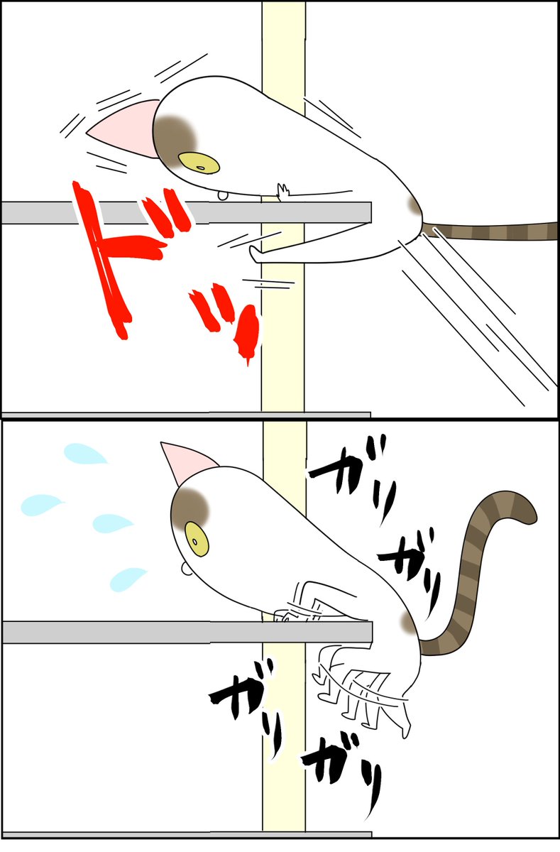 猫に「猫らしく振る舞うのやめなさい」って言った 1/2
#漫画が読めるハッシュタグ #猫イラスト #コミックエッセイ