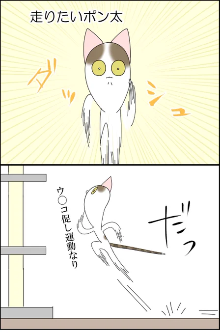 猫に「猫らしく振る舞うのやめなさい」って言った 1/2

#漫画が読めるハッシュタグ #猫イラスト #コミックエッセイ 