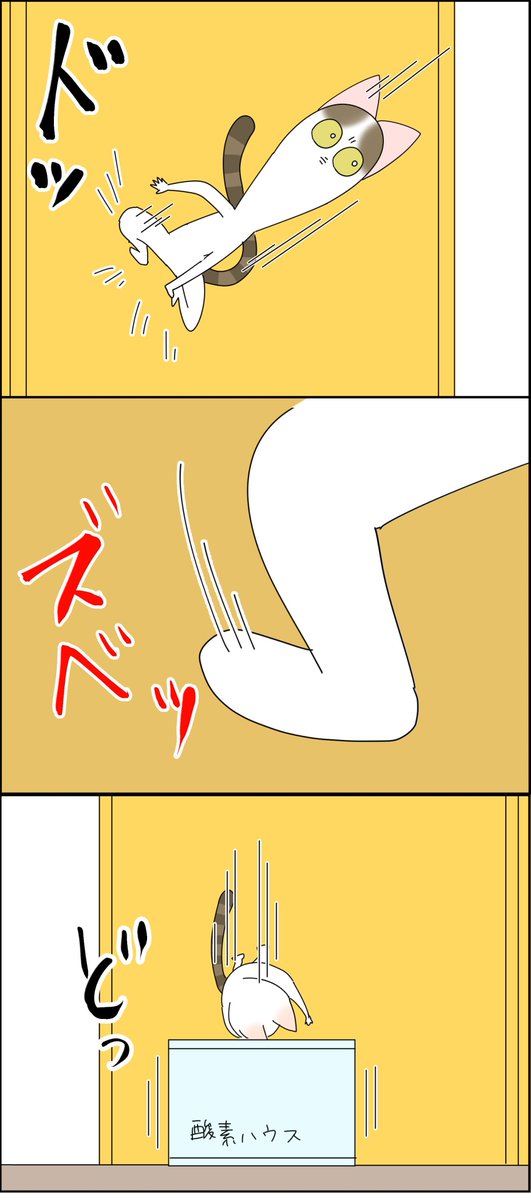 猫に「猫らしく振る舞うのやめなさい」って言った 2/2 