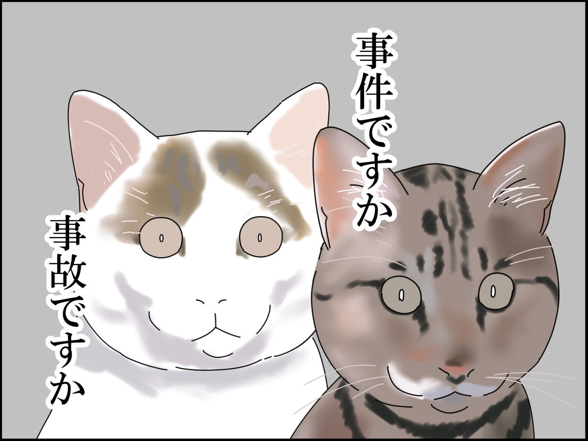ご自由にお使いください 