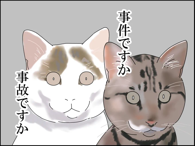 ご自由にお使いください 