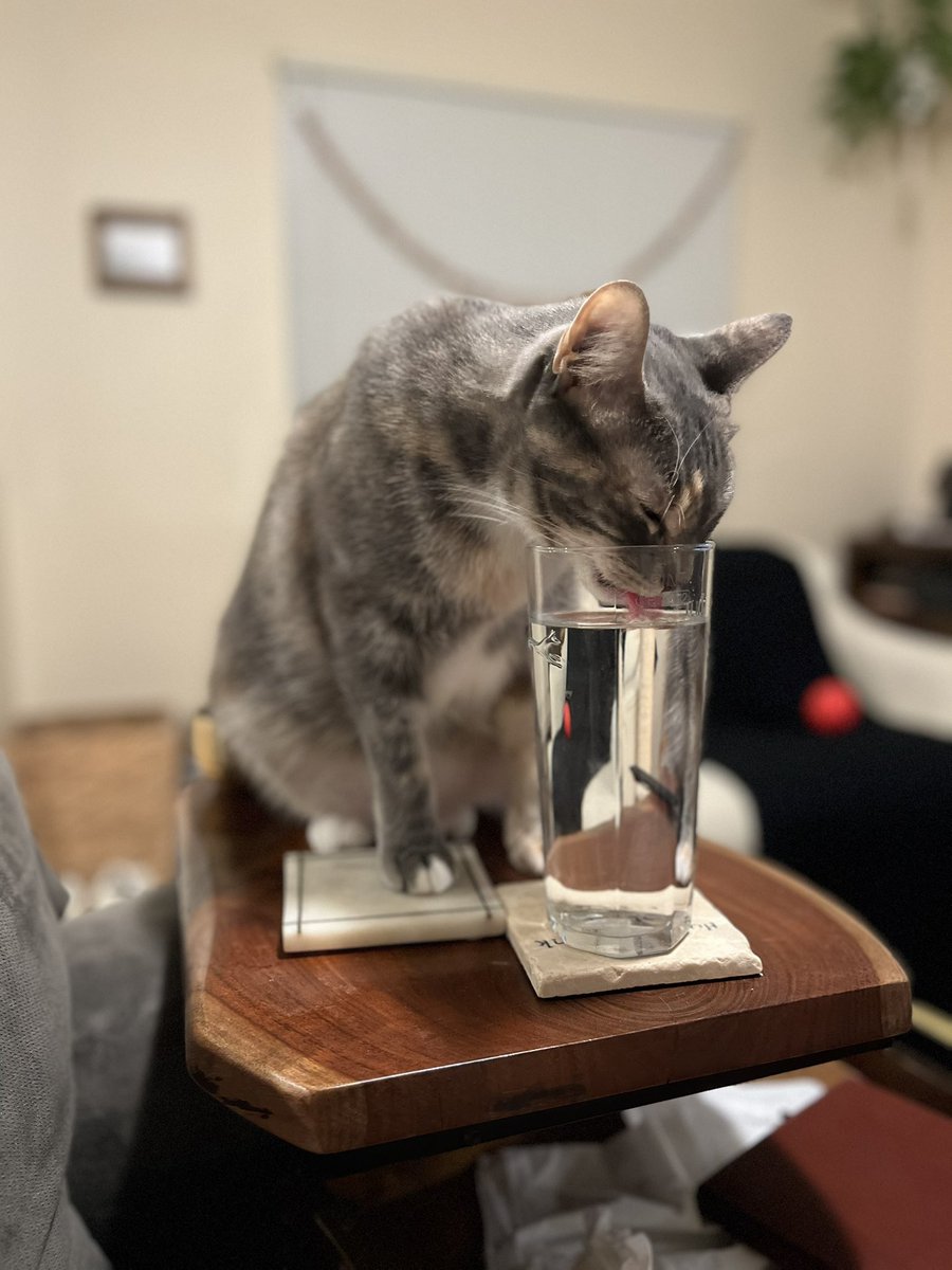 Broker Brett tweet media