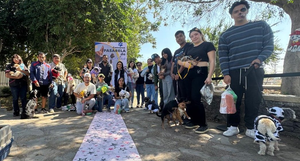 LisSalasQro's tweet photo. PASARELA DE MASCOTAS !!
Impulsando acciones enfocadas en la protección animal desde la concientización y cuidado para su bienestar. #municipiodequeretaro #animales #perritos #caninos #mininos #mascotas #vecinos #concurso #Queretaro #Qro #convivencia #vacunas https://t.co/dFRJN28uq5